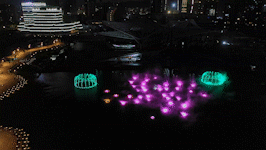 10.gif 10.gif