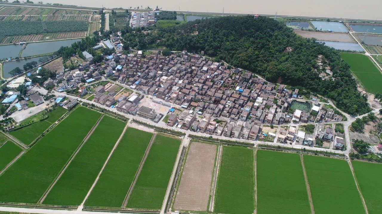 4.jpg 4.jpg